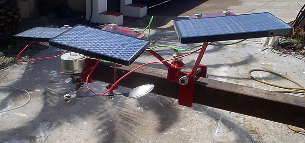 parasito